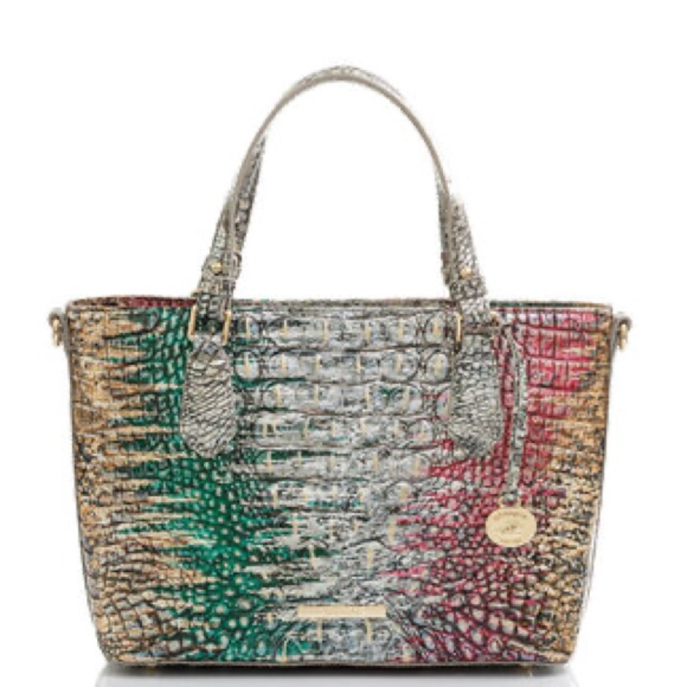 Brahmin🌼EUC Mini Misha Carnival